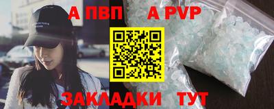 гашик Кингисепп