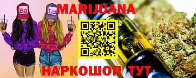 гашик Кингисепп