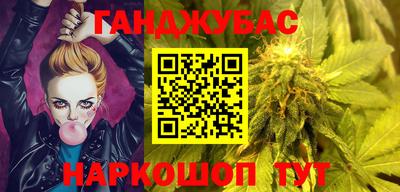 гашик Кингисепп