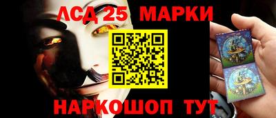 гашик Кингисепп