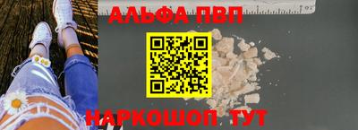 гашик Кингисепп