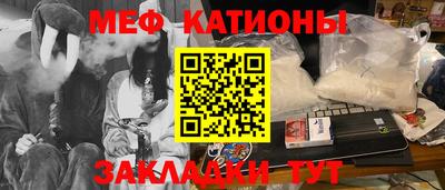 гашик Кингисепп